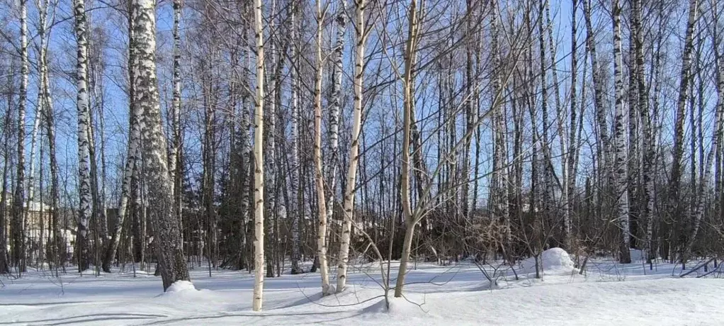 Участок в Московская область, Мытищи городской округ, д. Витенево  ... - Фото 1