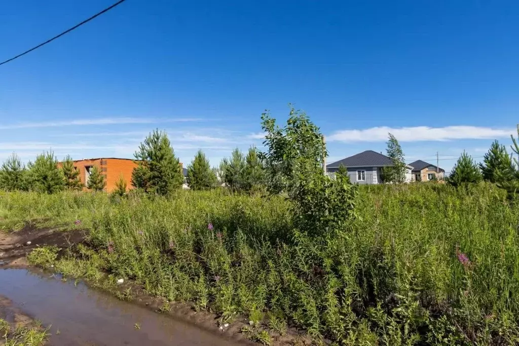 Участок в Тюменская область, Тюменский муниципальный округ, д. Елань, ... - Фото 1