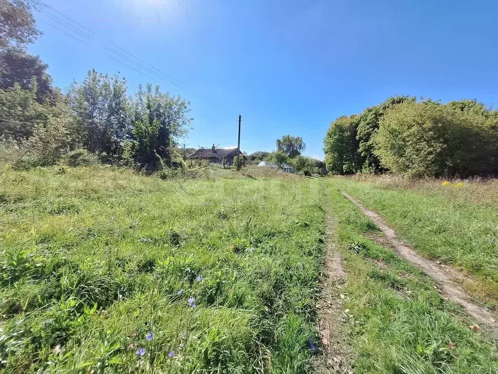Участок в Тульская область, Чернский район, Липицкое с/пос, д. Юрово  ... - Фото 2