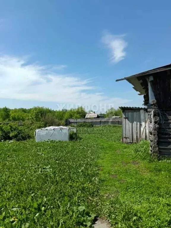 Дом в Новосибирская область, Тогучинский район, д. Долгово ул. Клубная ... - Фото 1