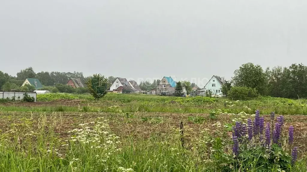 Участок в Московская область, Шаховская муниципальный округ, д. ... - Фото 2