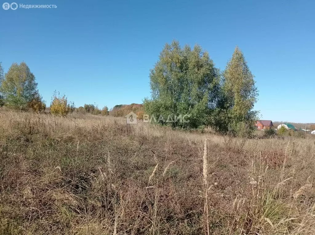 Участок в Мокшанский район, Рамзайский сельсовет, село Рамзай (10 м) - Фото 0