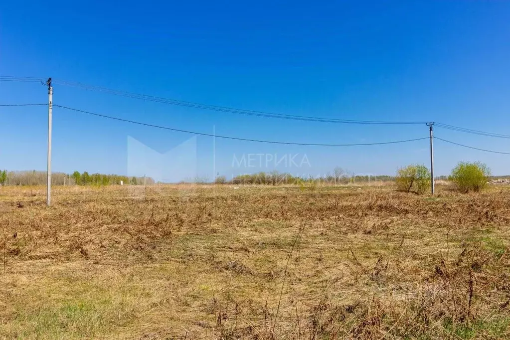 Участок в Тюменская область, Тюменский район, с. Горьковка  (11.0 ... - Фото 1