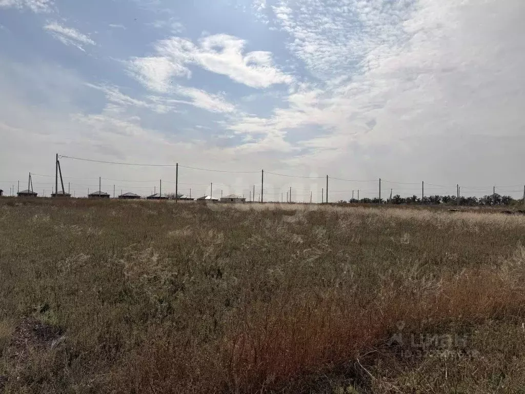 Участок в Ростовская область, Мясниковский район, с. Большие Салы ул. ... - Фото 1