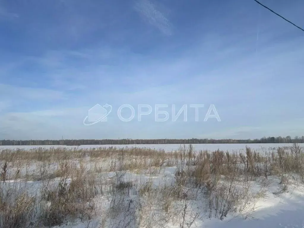 Участок в Тюменская область, Тюменский муниципальный округ, д. Марай  ... - Фото 1