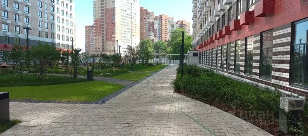 3-к кв. Московская область, Котельники Белая Дача мкр, 25к1 (82.8 м) - Фото 1