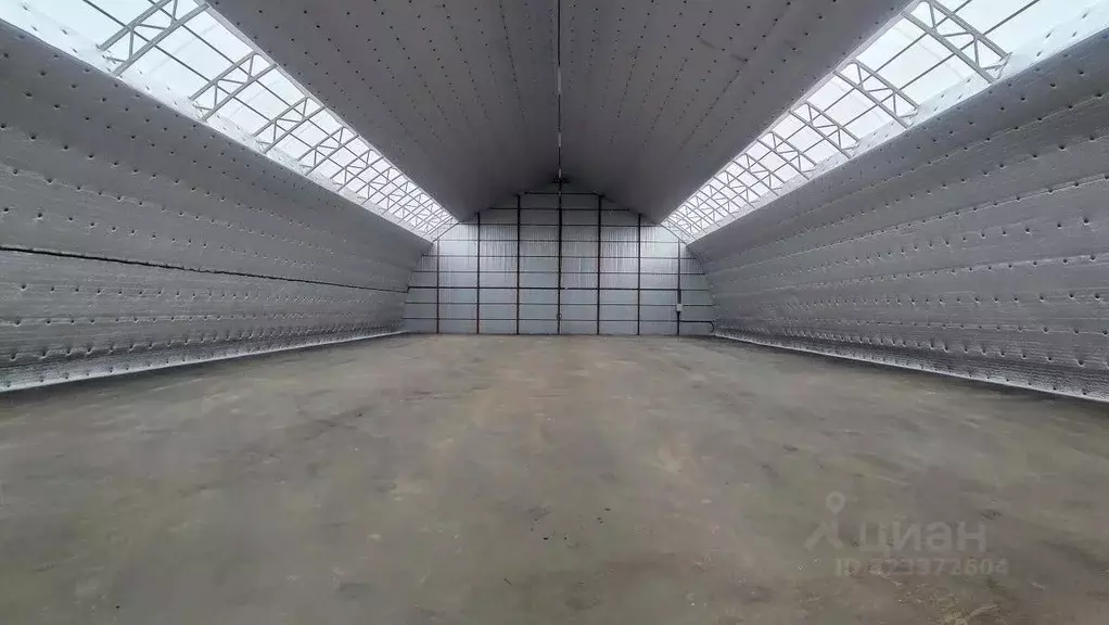 Склад в Московская область, Балашиха ш. Косинское, 17А (540 м) - Фото 1