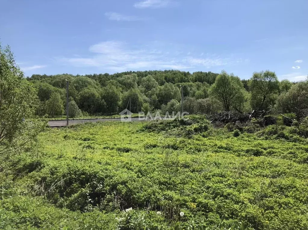 2-к кв. Владимирская область, Суздальский район, Новоалександровское ... - Фото 2