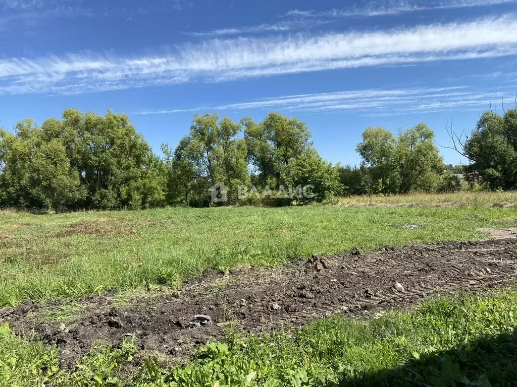 Участок в Пензенская область, с. Бессоновка ул. Геологическая (14.0 ... - Фото 0