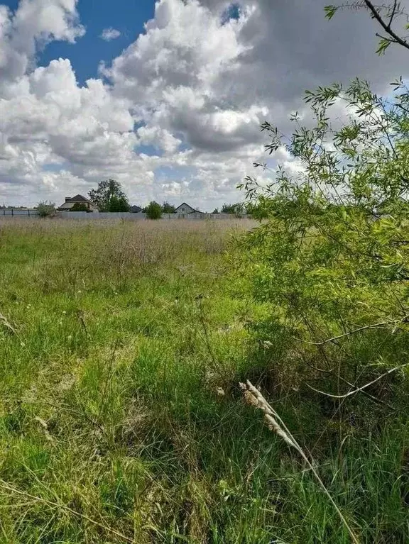 Участок в Белгородская область, Губкинский городской округ, с. Аверино ... - Фото 0