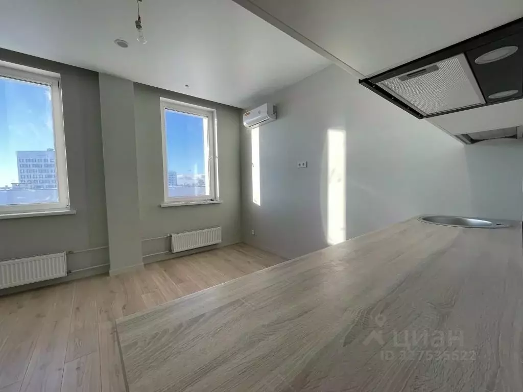 Студия Москва Березовая аллея, 19к3 (23.8 м) - Фото 2