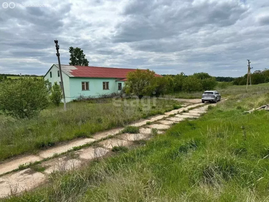 Участок в Яковлевский городской округ, село Серетино (600 м) - Фото 1