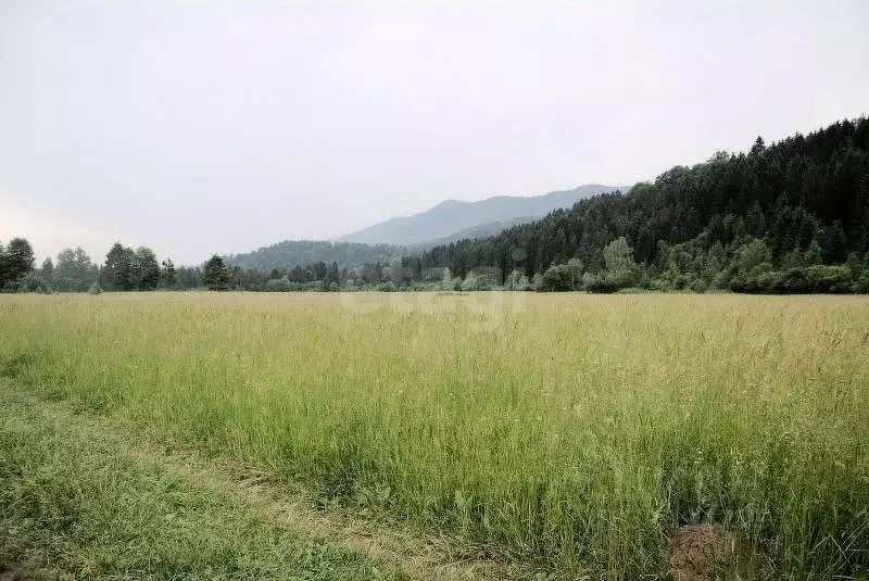 Участок в Тюменская область, Тюменский муниципальный округ, Исток СНТ ... - Фото 1