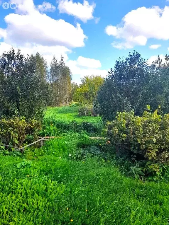 Участок в Тугулымский городской округ, село Ивановка (31.18 м) - Фото 0