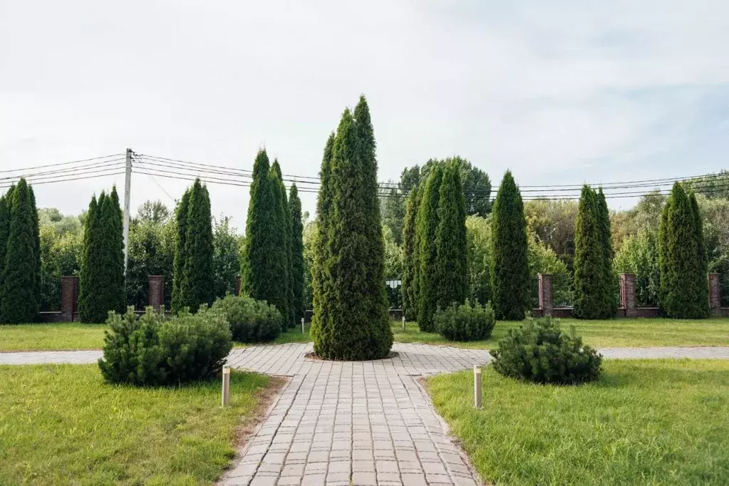 Комната Белгородская область, Старый Оскол пер. 2-й Рождественский, 2 ... - Фото 1