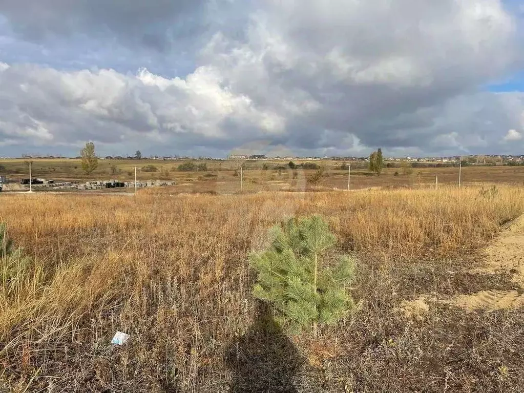 Участок в Белгородская область, Старый Оскол ул. Тихомировская (15.0 ... - Фото 1