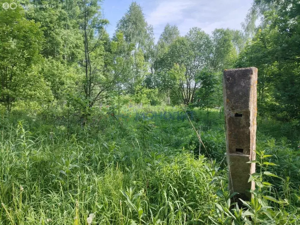 Участок в Нижегородская область, Богородский муниципальный округ, СТ ... - Фото 0