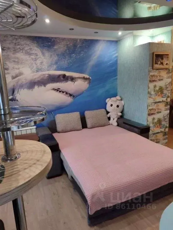 1-к кв. Приморский край, Находка Нахимовская ул., 2А (20.0 м) - Фото 1