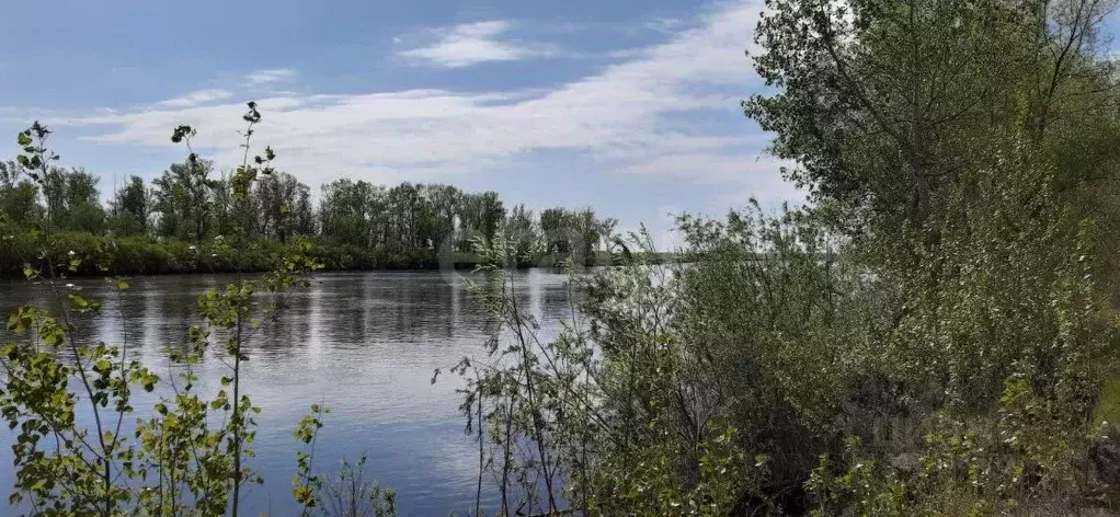 Участок в Тюменская область, Тюменский район, с. Борки  (48.4 сот.) - Фото 0