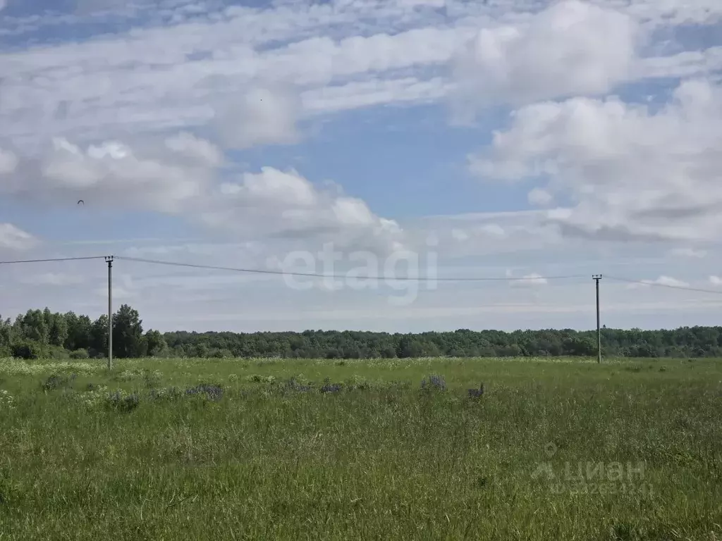 Участок в Калининградская область, Озерск  (6000.0 сот.) - Фото 1