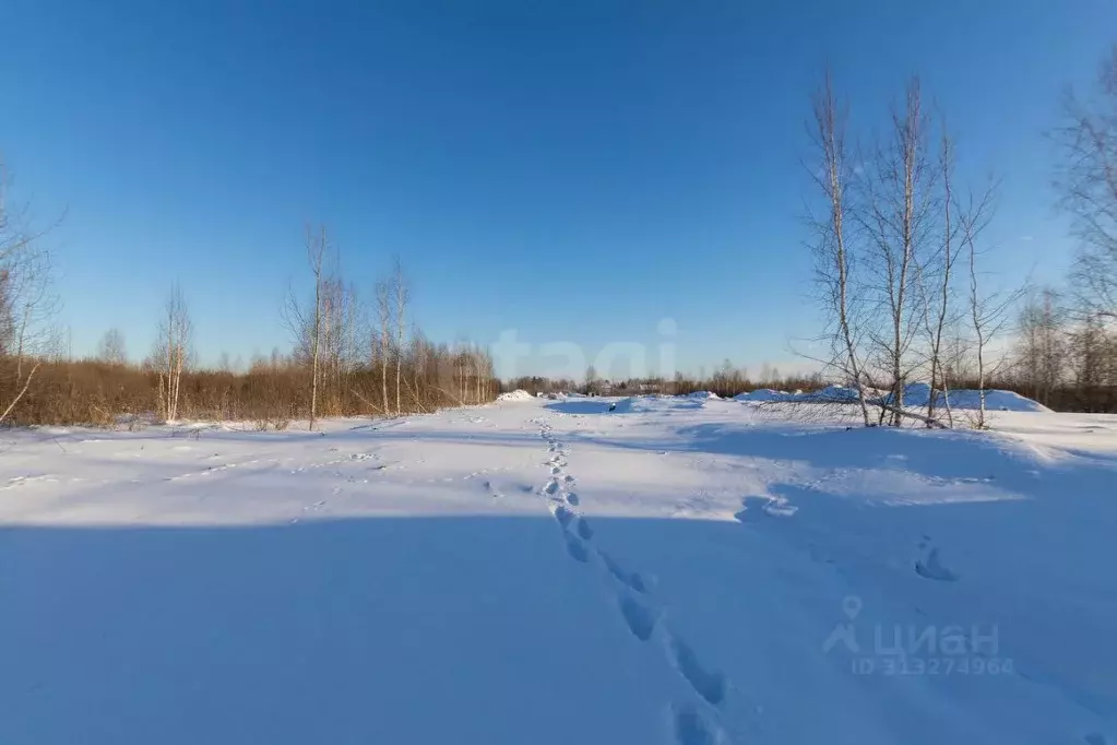 Участок в Тюменская область, Тюмень  (8.0 сот.) - Фото 1