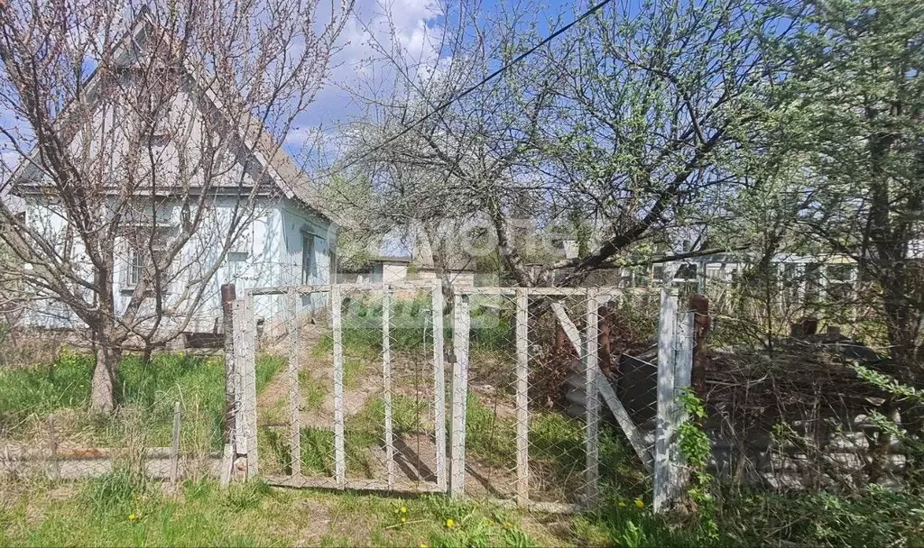 Дом в Курская область, Курский район, Камышинский сельсовет, Рассвет-2 ... - Фото 1