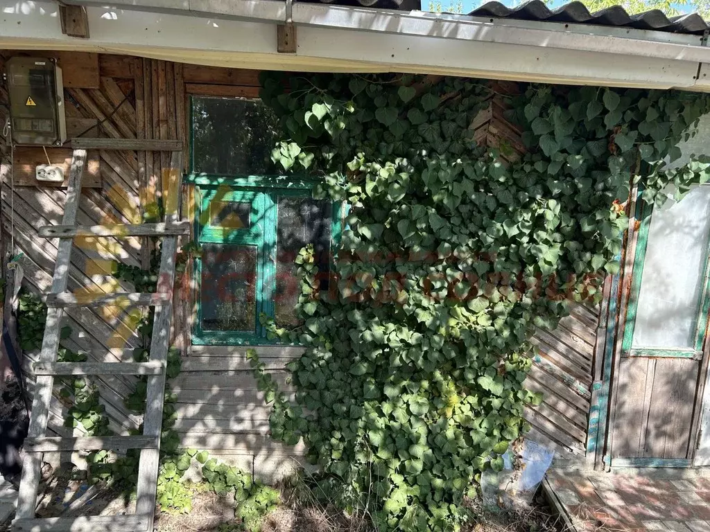 Участок в Краснодарский край, Тимашевск Строитель СОТ, 592 (5.0 сот.) - Фото 2