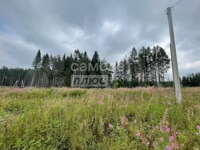 Участок 10,2 сот. (ИЖС) - Фото 0
