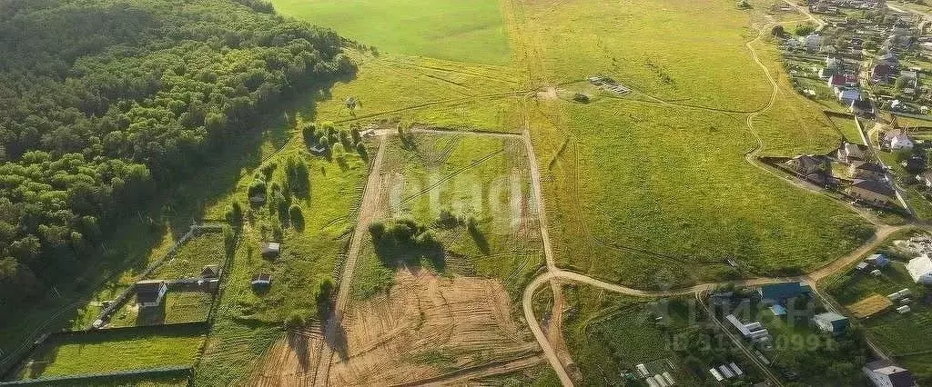 Участок в Калужская область, Калуга д. Черносвитино,  (7.0 сот.) - Фото 2