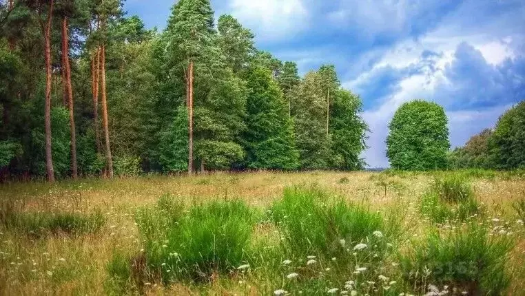 Участок в Московская область, Одинцовский городской округ, Горки-8 кп ... - Фото 0