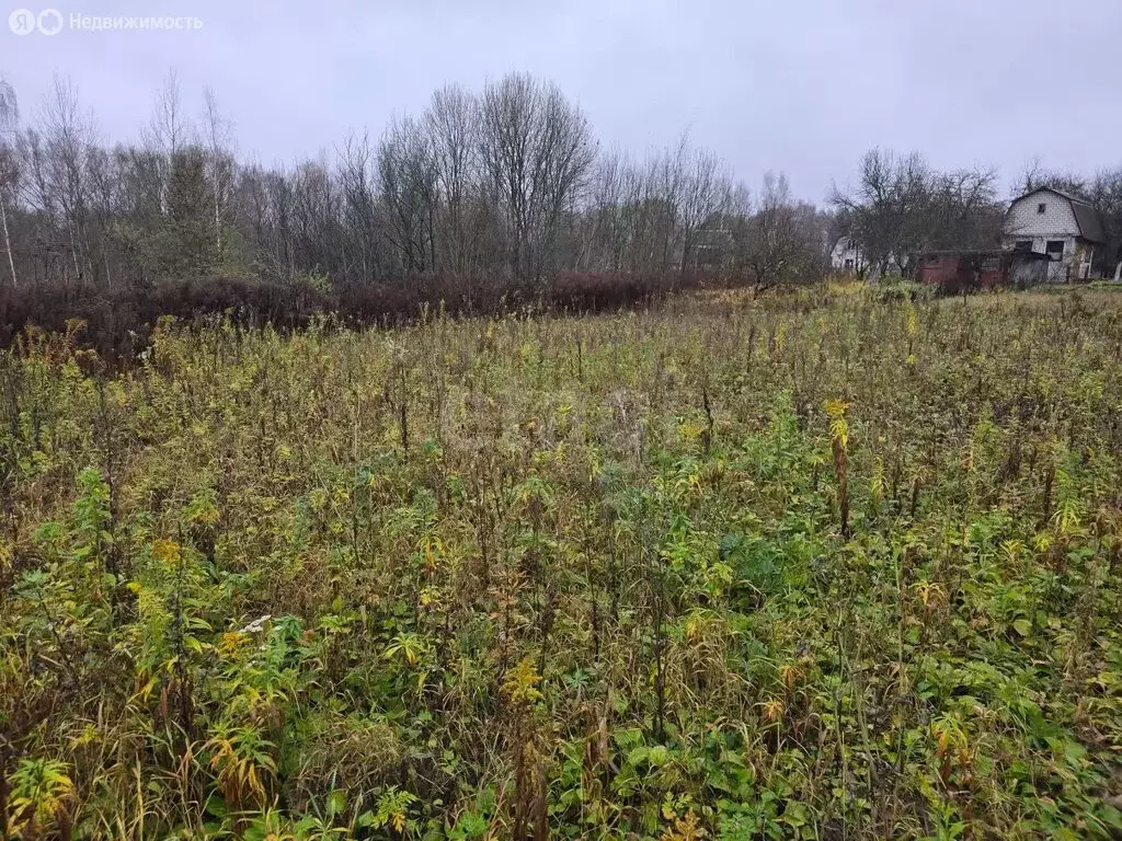Участок в Толмачево, СДТ Русь (5 м) - Фото 2