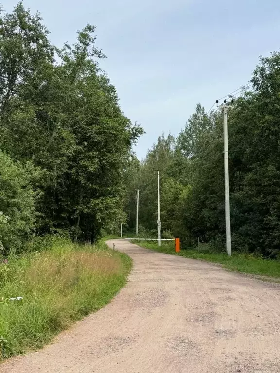 Участок в Ленинградская область, Всеволожский район, Рахьинское ... - Фото 1