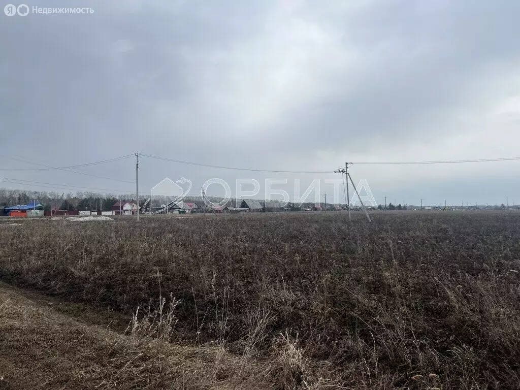 Участок в Тюмень, садовое общество Поляна (10 м) - Фото 0