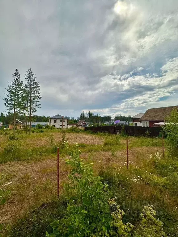 Участок в Ленинградская область, Выборгский район, Полянское с/пос, ... - Фото 2