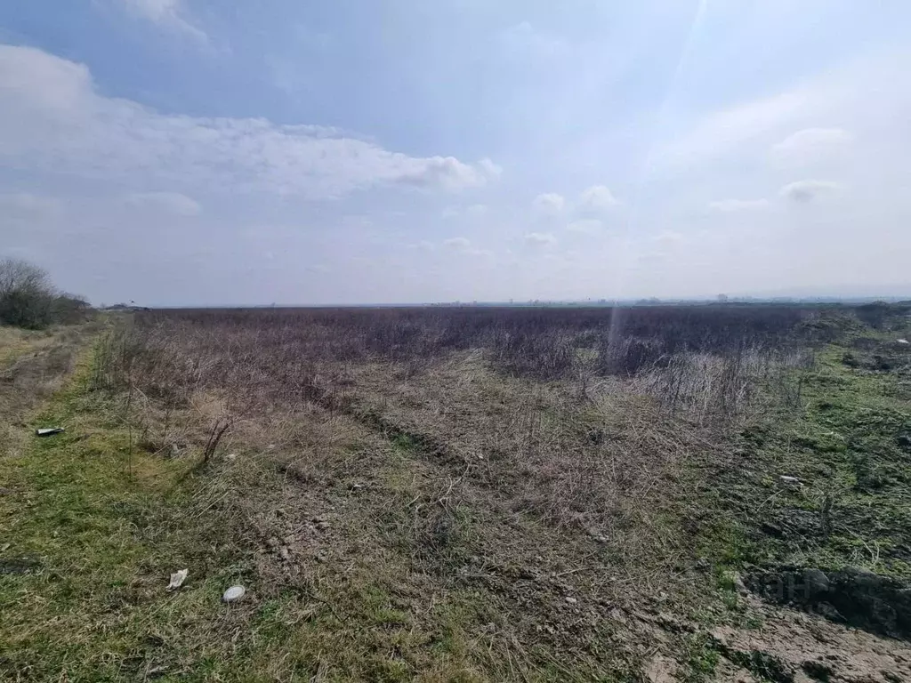 Участок в Кабардино-Балкария, Чегем ул. Братьев Вороковых (8.2 сот.) - Фото 2