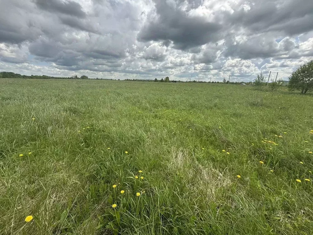 Участок в Ленинградская область, Ломоносовский район, Лопухинское ... - Фото 0