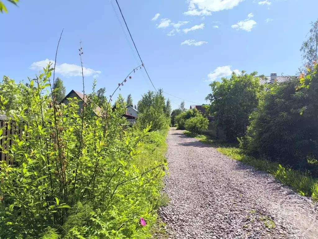 Участок в Ленинградская область, Выборгский район, Рощино пгт, ... - Фото 2