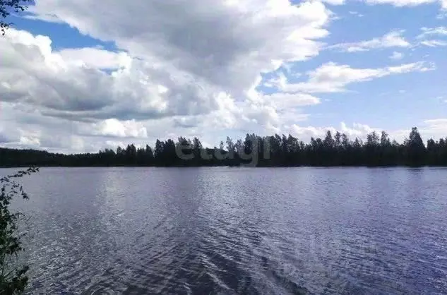 Участок в Ярославская область, Ярославский муниципальный округ, ... - Фото 1