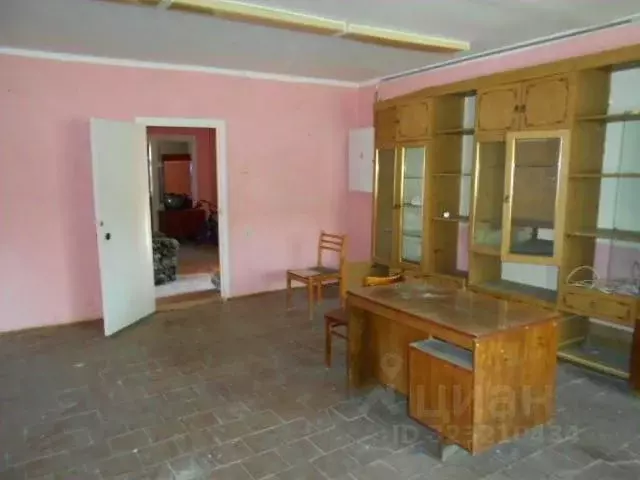 Помещение свободного назначения в Татарстан, Елабуга муниципальное ... - Фото 1