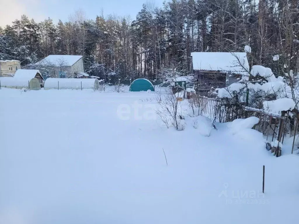 Дом в Брянская область, Брянский район, Нетьинское с/пос, Весна СДТ  ... - Фото 2