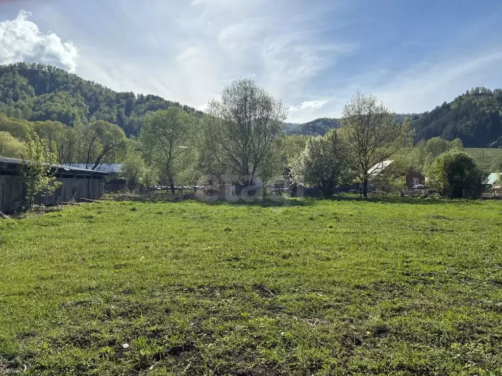 Участок в Алтай, Майминский район, с. Бирюля Совхозная ул., 18 (13.8 ... - Фото 1