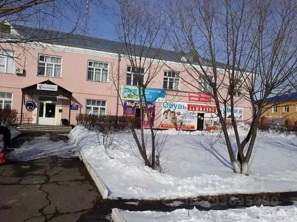 Помещение свободного назначения в Омская область, Называевск ул. ... - Фото 1