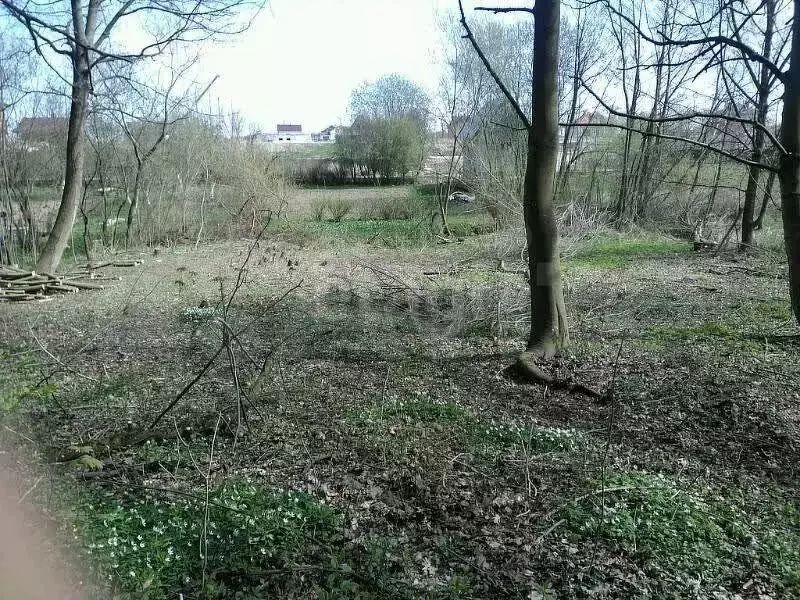 Участок 4 сот. (СНТ, ДНП) - Фото 1