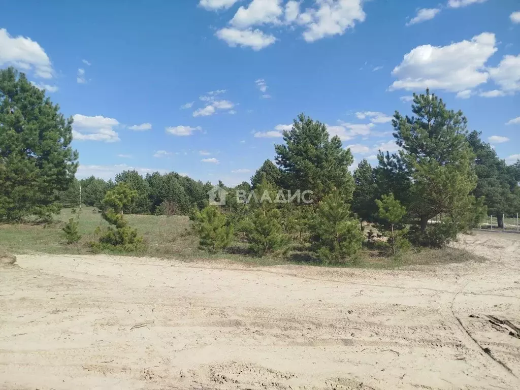 Участок в Пензенская область, Бессоновский район, Сосновский ... - Фото 1