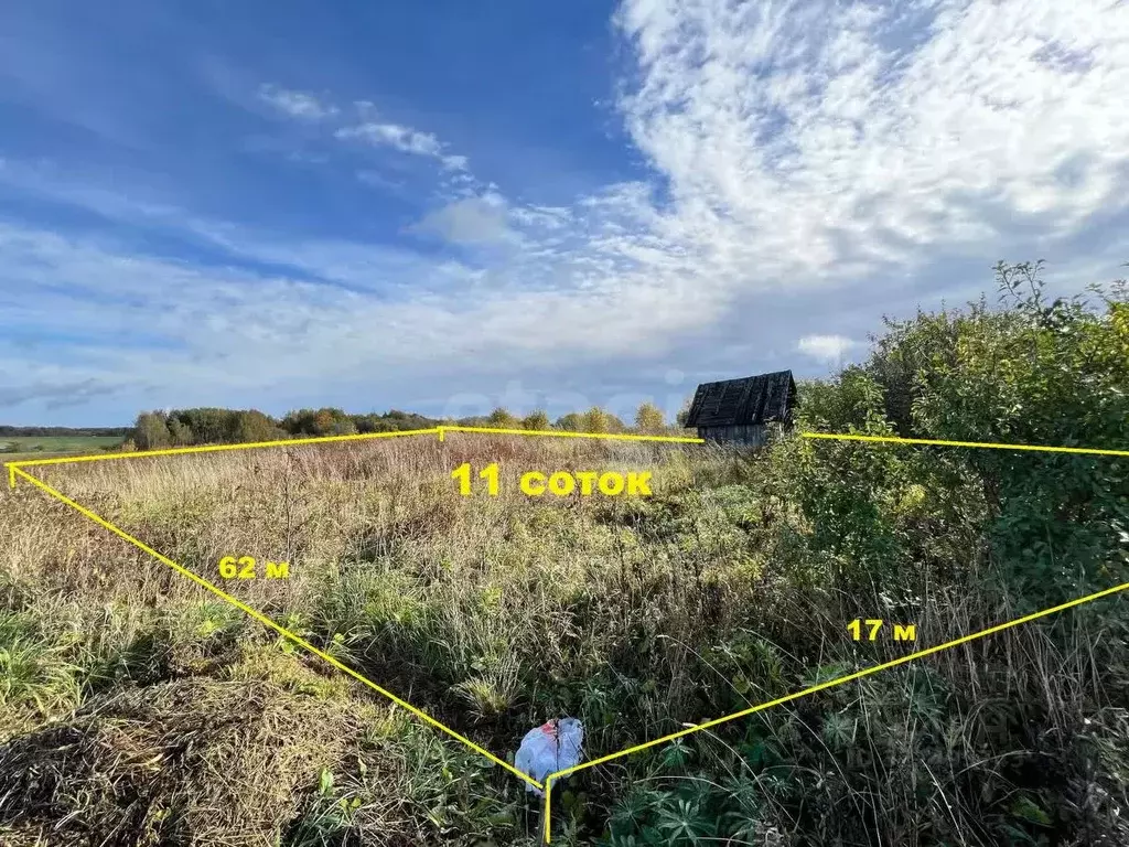 Участок в Вологодская область, пос. Надеево ул. Центральная (11.0 ... - Фото 1