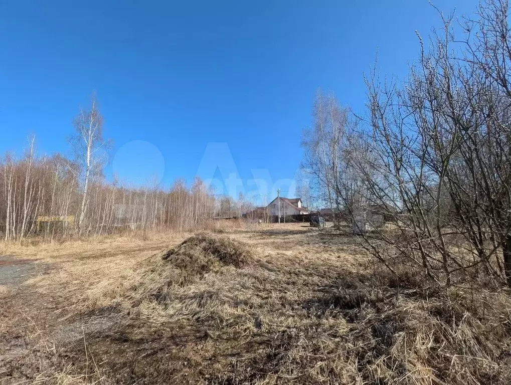 Участок 6 сот. (СНТ, ДНП) - Фото 0