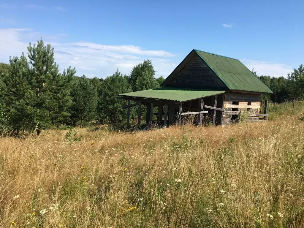 Участок в Ярославская область, Переславль-Залесский городской округ, ... - Фото 1