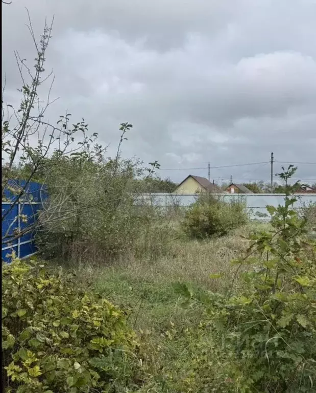 Участок в Краснодарский край, Лабинск Строитель садоводческое ... - Фото 1