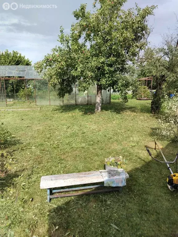 Участок в Бор, улица Тургенева (4.2 м) - Фото 1