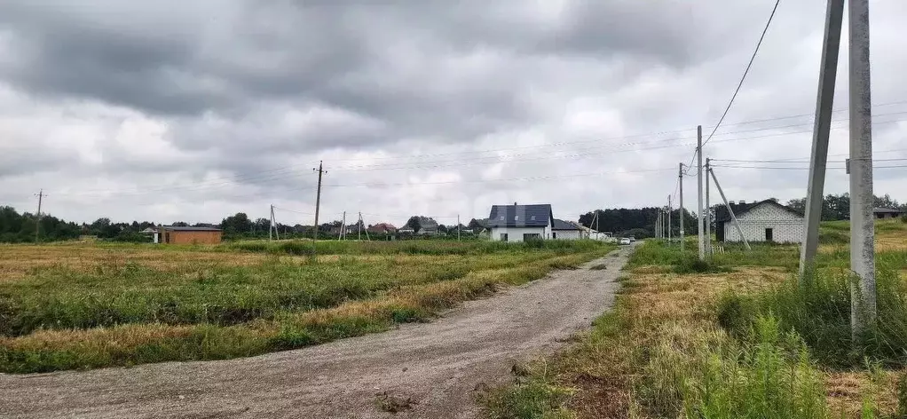Участок в Калининградская область, Гурьевский муниципальный округ, ... - Фото 0